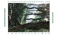Antidocument/groundwork