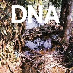 A Taste of DNA (12")