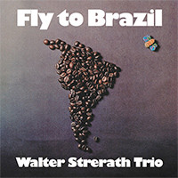 Fly To Brazil