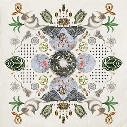 Fragments of High Sensitivity (LP)