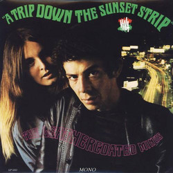 A Trip Down The Sunset Strip