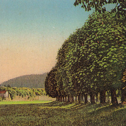 Time Of Hayfield (Lp)