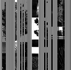 Basslines (2x7