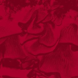 Live at Elastico (LP, single sided)