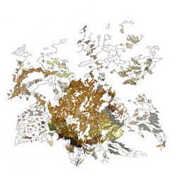 Red anxiety tracers (Lp)