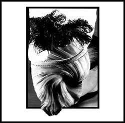 Threadbare Adult Life