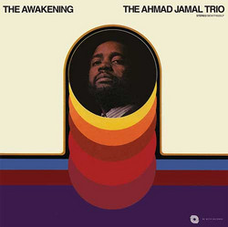 The Awakening (LP)