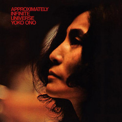 Approximately Infinite Universe (2Lp)