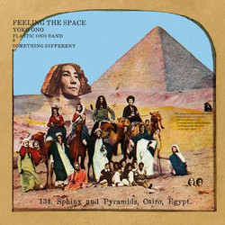 Feeling the Space (Lp)