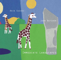 Immediate Landscapes