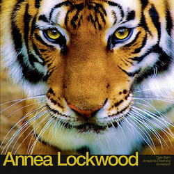 Tiger Balm / Amazonia Dreaming / Immersion (Lp)