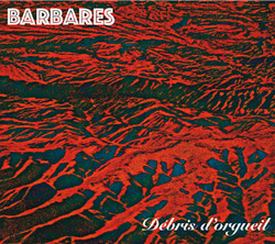 Débris d'orgueil