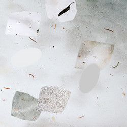 Body Consonance (Lp)