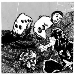 17 Stücke (1-sided LP)