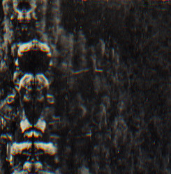 The Forest, The People And The Spirits (Lp)
