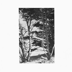 Gentle Wilderness (Lp)