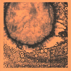 Several Circles