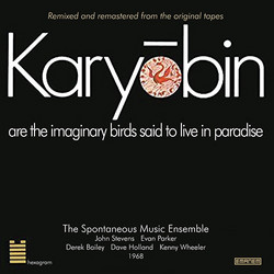 Karyobin