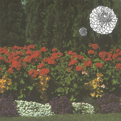 Annual Flowers In Color (LP)