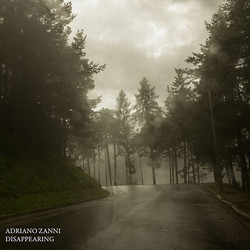 Disappearing (Lp)
