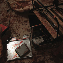 Riot (Lp)