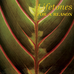 For A Reason (LP)