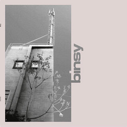 Binsy (LP)