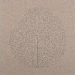Songs For Forgetting (LP)