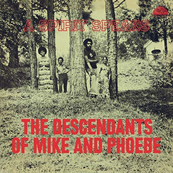 A Spirit Speaks (LP)