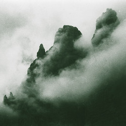 Il Museo Selvatico (2Lp)
