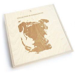 Collection in formaldeide (LP Box)