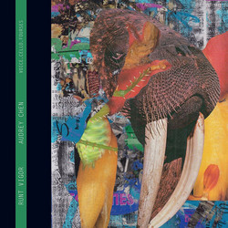 Runt Vigor (LP)