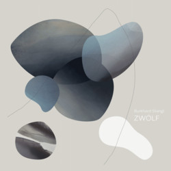 Zwölf (LP)