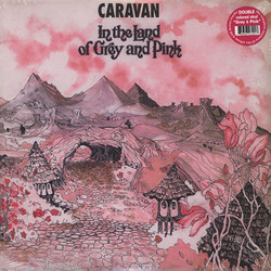 In The Land Of Grey And Pink (2LP)
