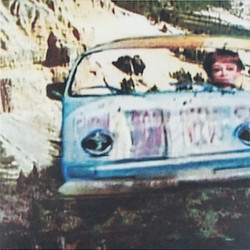 Don’t Trust Anyone Over Thirty (Lp)