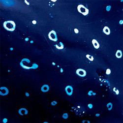 O Yama O (Lp)