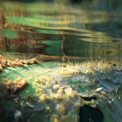 Sleep/Spiracle (Lp)