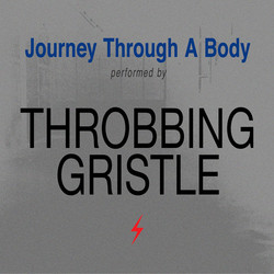 Journey Through a Body (LP, coloured vinyl)
