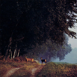 Svensk sommar i stilla frid (LP)
