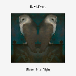 Bloom Into Night (LP)