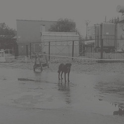 After Its Own Death / Walking in a Spiral (2LP)