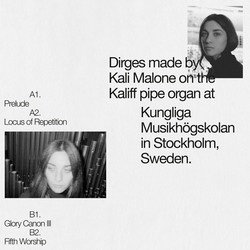 Organ Dirges 2016-2017 (LP)