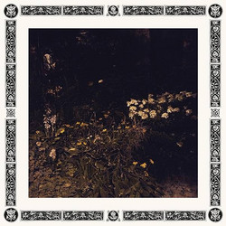 Pale Bloom (LP, Clear)
