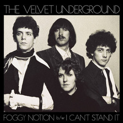 Foggy Notion / I Can't Stand It (7")