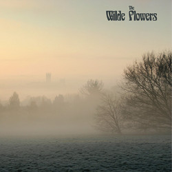 Wilde Flowers (Lp)
