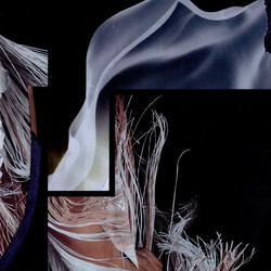 The Difference of Similarity / The Similarity of Difference  (LP
