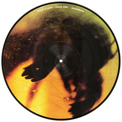 The Celebration Of The Lizard / March Of The Myriapoda (LP)