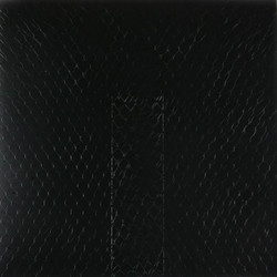 Dark Morph (LP)