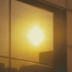 Protector’s Tea (LP)