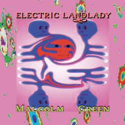Electric Landlady